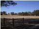 Lot 55 Crennis Mines Road, Angaston SA 5353