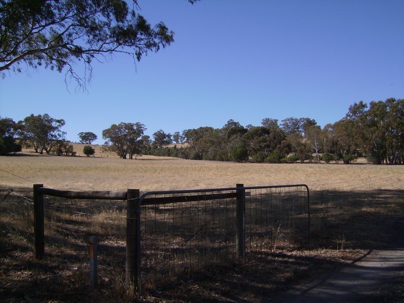 Lot 55 Crennis Mines Road, Angaston SA 5353