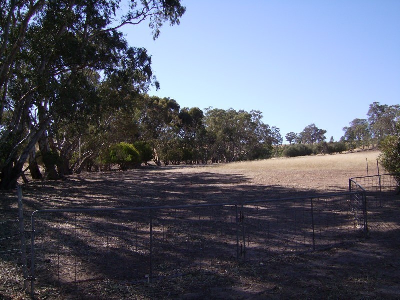 Lot 55 Crennis Mines Road, Angaston SA 5353