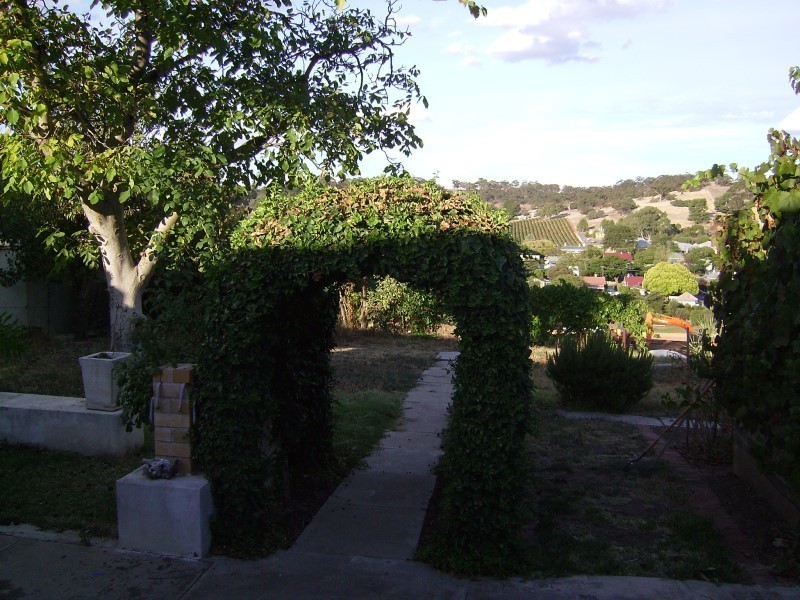 24 John Dallwitz Avenue, Angaston SA 5353