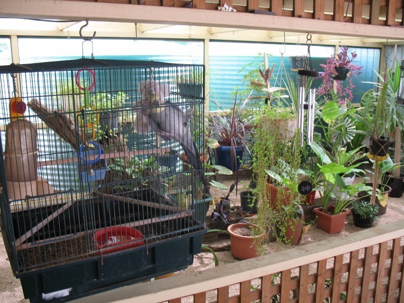 Lot 37 Swan Reach Road, Sedan SA 5353