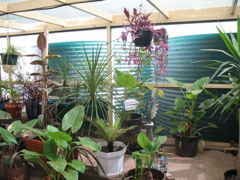 Lot 37 Swan Reach Road, Sedan SA 5353