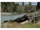 Lt 114-117 Blanchetown-Swan Reach Rd, Blanchetown SA 5357