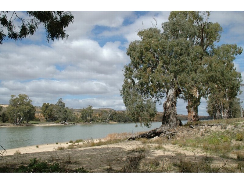 Lt 114-117 Blanchetown-Swan Reach Rd, Blanchetown SA 5357