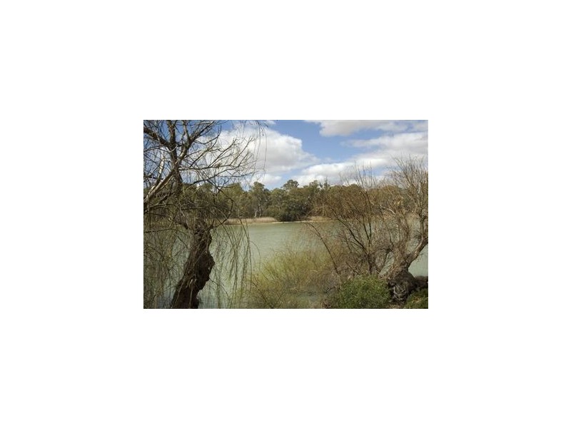 Lt 114-117 Blanchetown-Swan Reach Rd, Blanchetown SA 5357