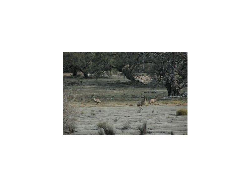 Lt 107-124 Sturt Highway, Blanchetown SA 5357