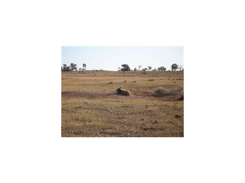 Lt 107-124 Sturt Highway, Blanchetown SA 5357