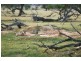 Lt 107-124 Sturt Highway, Blanchetown SA 5357