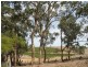 60 Washington Street, Angaston SA 5353
