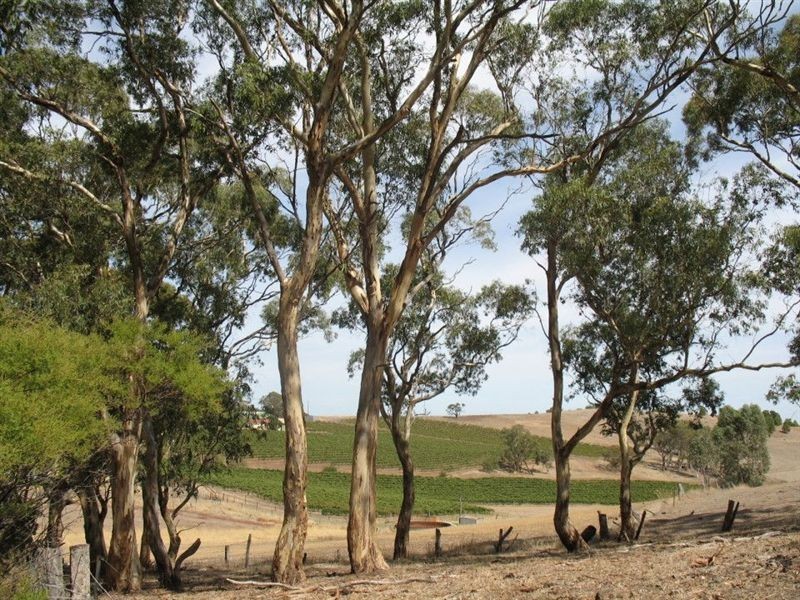 60 Washington Street, Angaston SA 5353