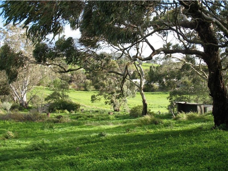 60 Washington Street, Angaston SA 5353