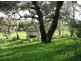 60 Washington Street, Angaston SA 5353