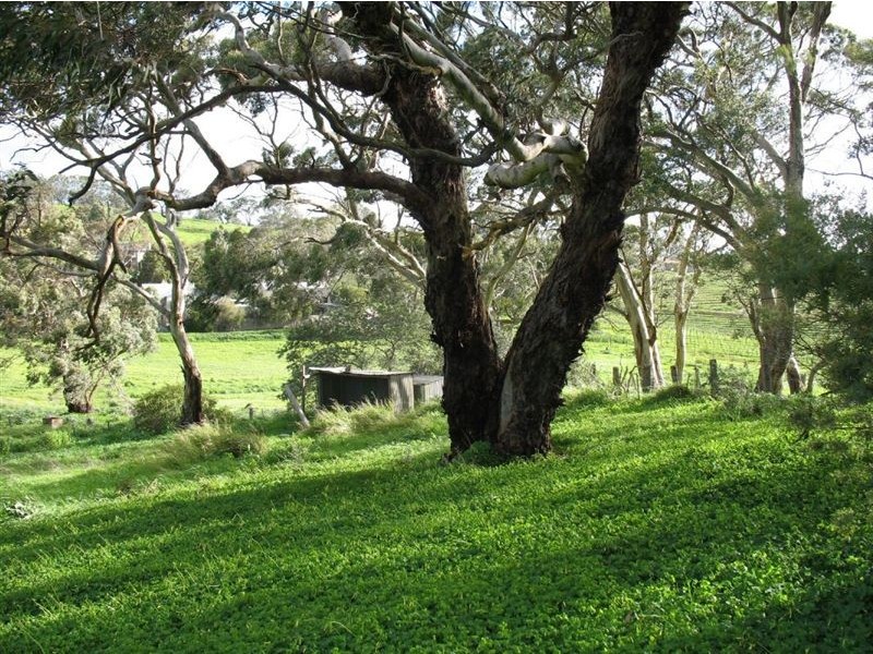 60 Washington Street, Angaston SA 5353