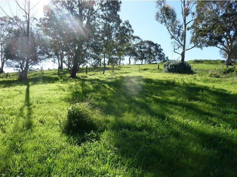 60 Washington Street, Angaston SA 5353