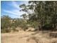 60 Washington Street, Angaston SA 5353