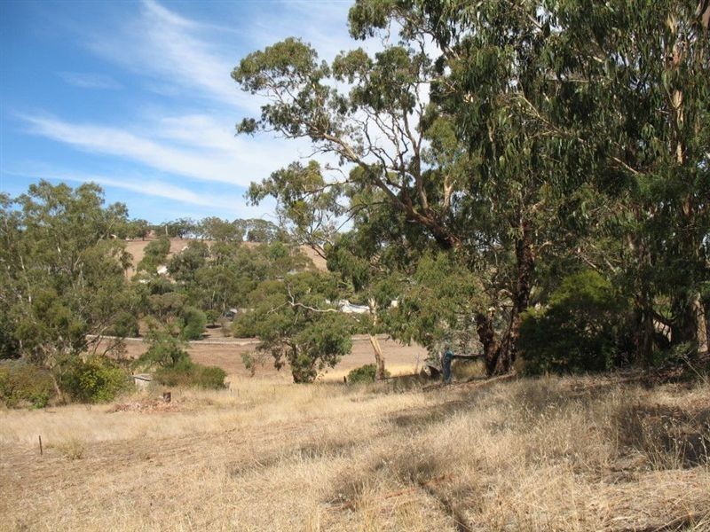 60 Washington Street, Angaston SA 5353