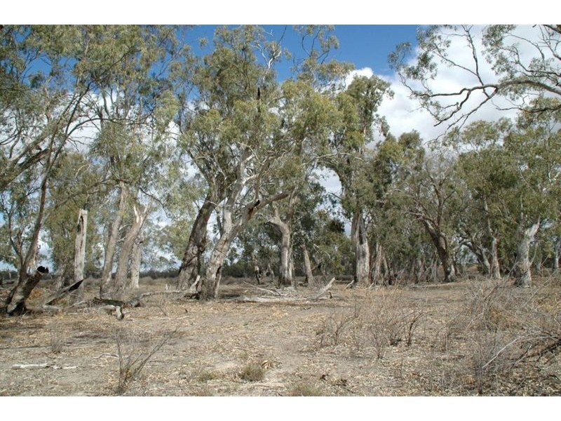 13 Lots Sturt Highway, Blanchetown SA 5357