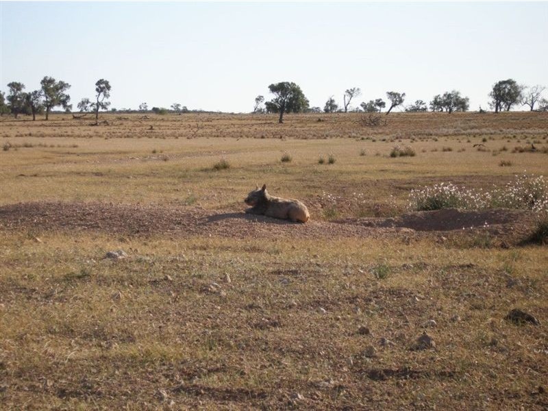 13 Lots Sturt Highway, Blanchetown SA 5357