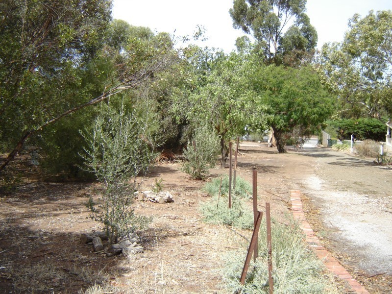 40 Koncke Street, Greenock SA 5360