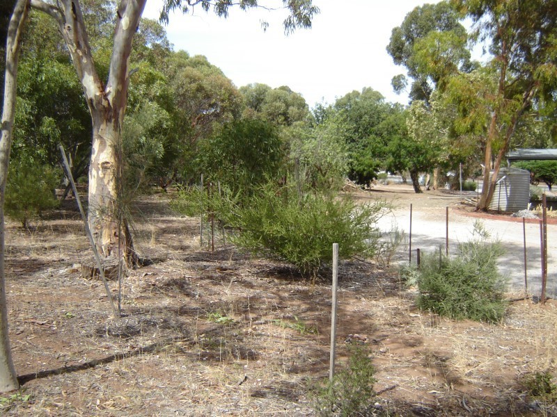 40 Koncke Street, Greenock SA 5360