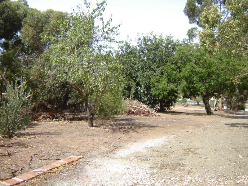 40 Koncke Street, Greenock SA 5360