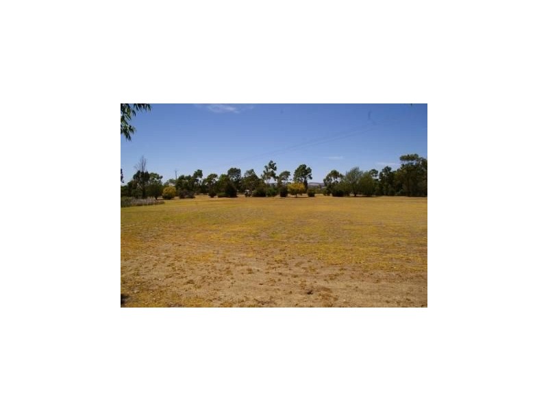 Lot 51 Samuel Road, Nuriootpa SA 5355
