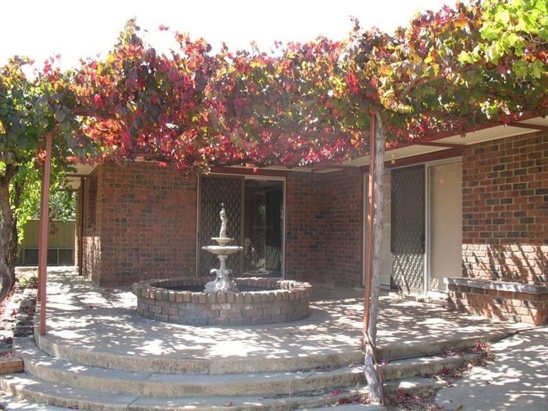 6 Auguste Street, Nuriootpa SA 5355