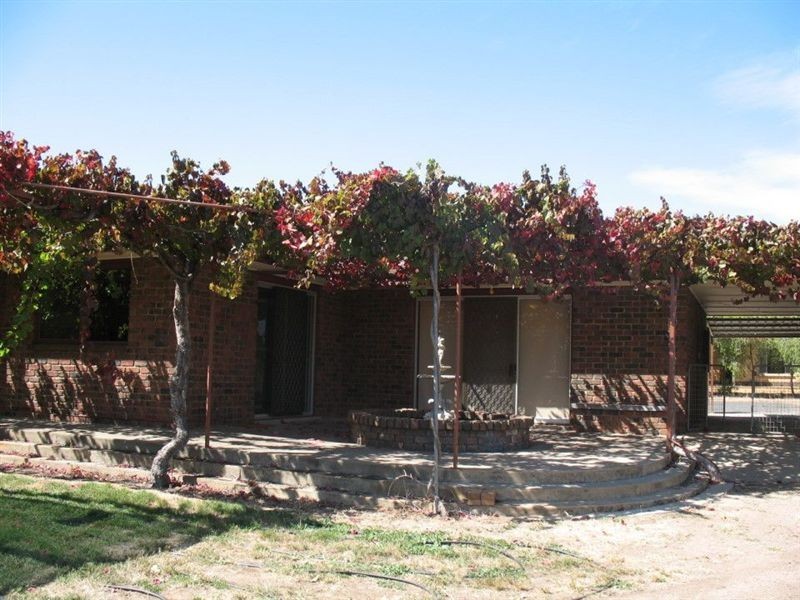 6 Auguste Street, Nuriootpa SA 5355