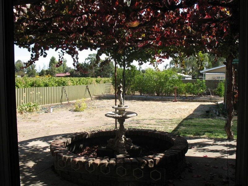 6 Auguste Street, Nuriootpa SA 5355