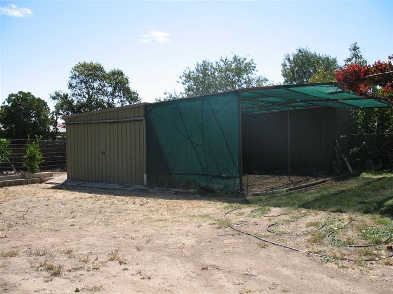 6 Auguste Street, Nuriootpa SA 5355