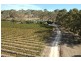 Lot 501 Menglers Hill Road, Angaston SA 5353