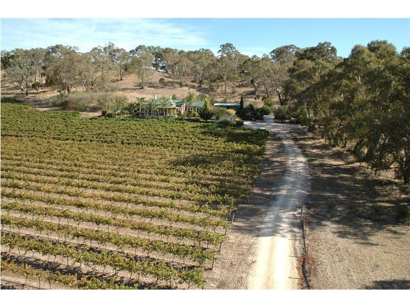 Lot 501 Menglers Hill Road, Angaston SA 5353