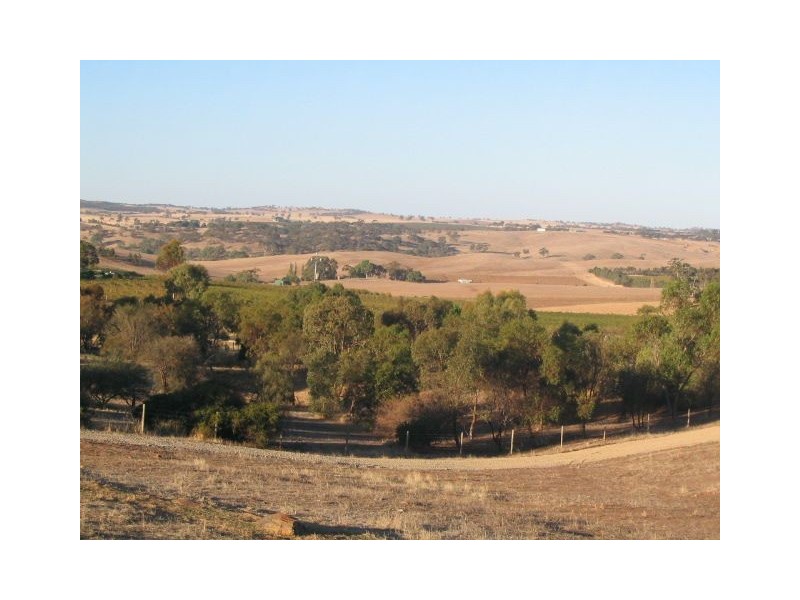 Lot 501 Moculta Road, Angaston SA 5353
