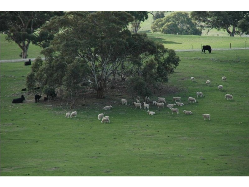 Lot 130 Keynes Road, Keyneton SA 5353