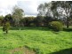 Lot 6 Siegersdorf Road, Tanunda SA 5352