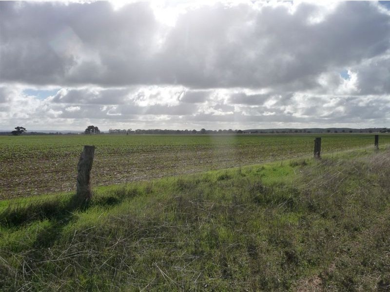 Lot 442 Kapunda-Truro Road, Ebenezer SA 5355