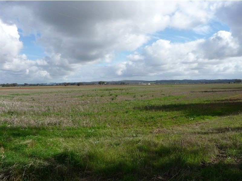 Lot 442 Kapunda-Truro Road, Ebenezer SA 5355