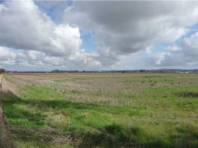 Lot 442 Kapunda-Truro Road, Ebenezer SA 5355