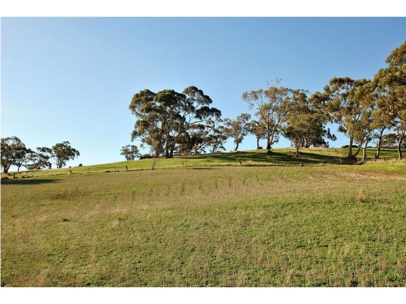 Lot 592 Crennis Mines/Radford/Washington Streets, Angaston SA 5353