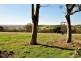 Lot 592 Crennis Mines/Radford/Washington Streets, Angaston SA 5353