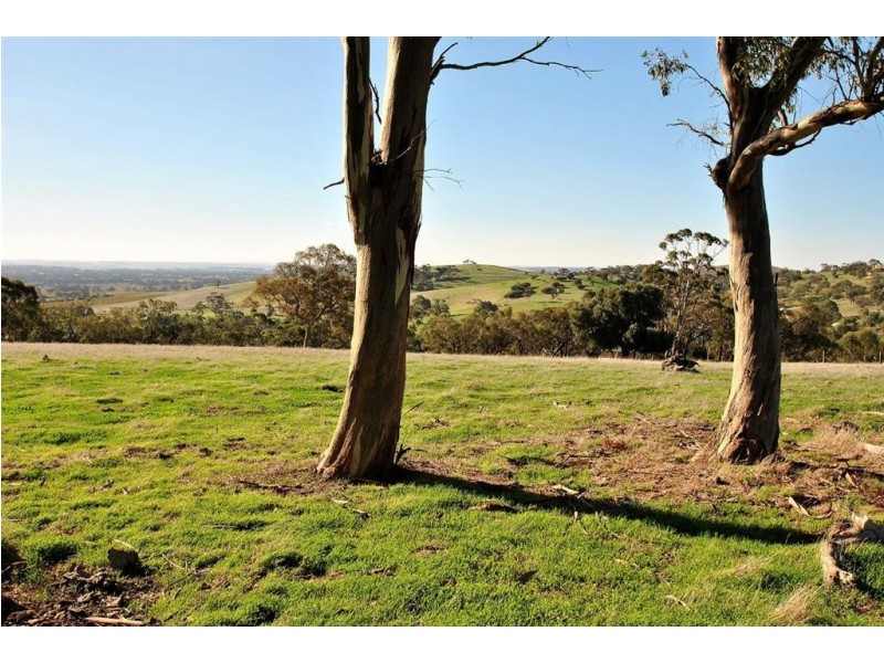 Lot 592 Crennis Mines/Radford/Washington Streets, Angaston SA 5353