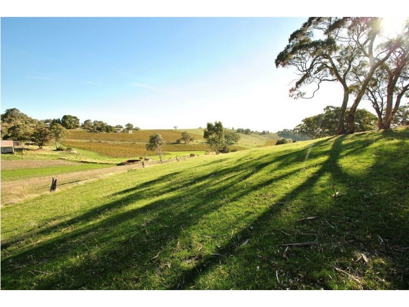 Lot 592 Crennis Mines/Radford/Washington Streets, Angaston SA 5353