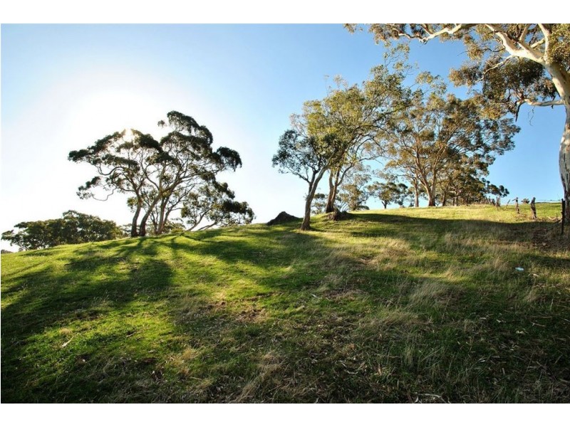 Lot 592 Crennis Mines/Radford/Washington Streets, Angaston SA 5353
