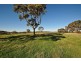 Lot 592 Crennis Mines/Radford/Washington Streets, Angaston SA 5353