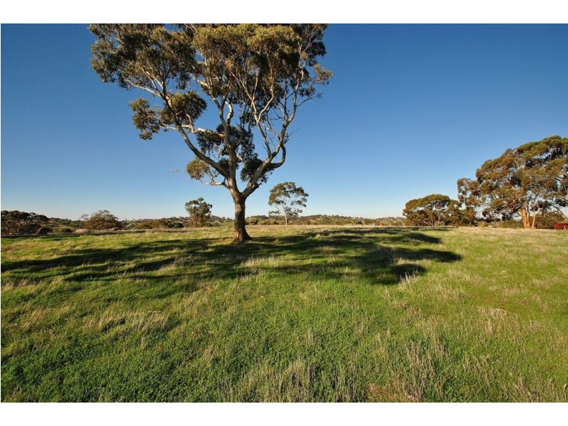 Lot 592 Crennis Mines/Radford/Washington Streets, Angaston SA 5353