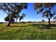Lot 592 Crennis Mines/Radford/Washington Streets, Angaston SA 5353