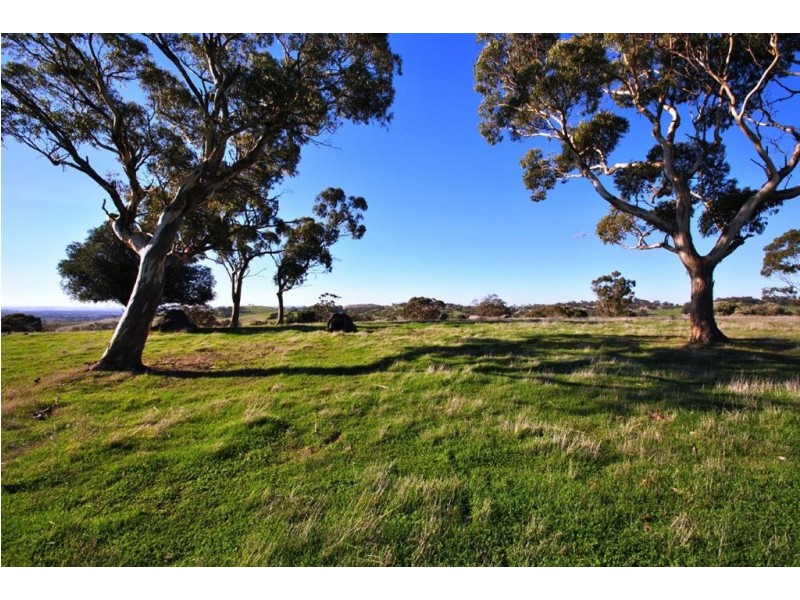 Lot 592 Crennis Mines/Radford/Washington Streets, Angaston SA 5353
