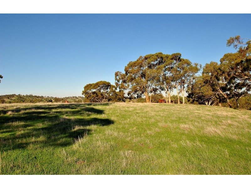 Lot 592 Crennis Mines/Radford/Washington Streets, Angaston SA 5353