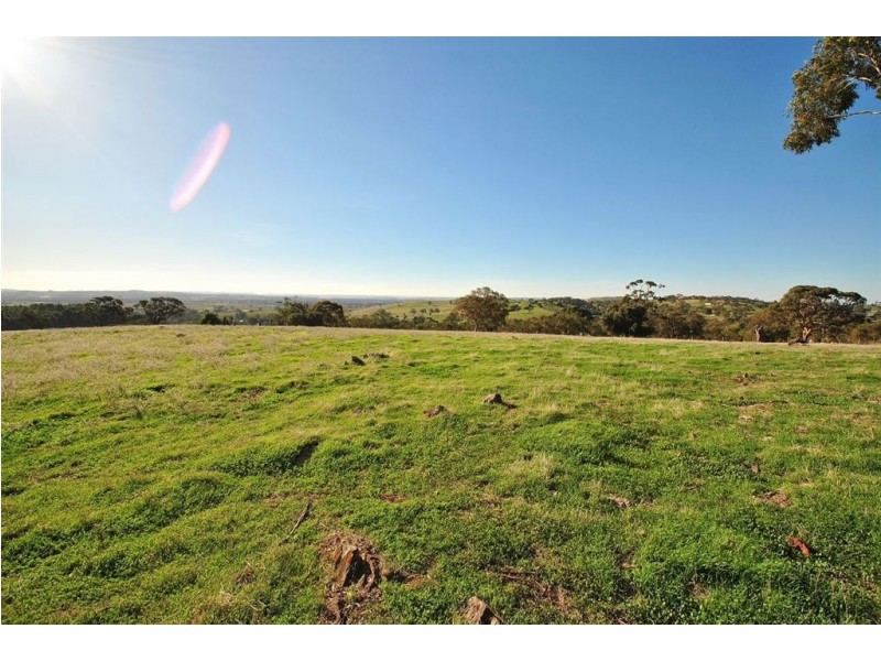 Lot 592 Crennis Mines/Radford/Washington Streets, Angaston SA 5353