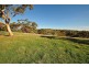 Lot 592 Crennis Mines/Radford/Washington Streets, Angaston SA 5353